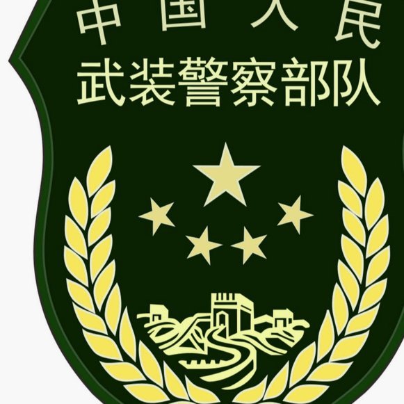日本队就没想过故意避开巴西