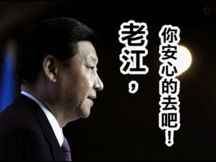 荷兰弟：求见哈兰德无果，学会谦逊