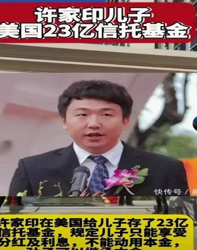 因参与违法犯罪活动 许家印两个儿子一审被判有期徒刑