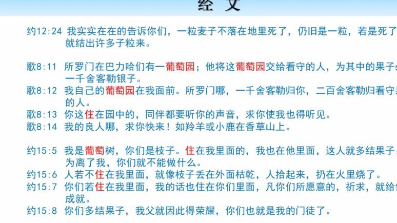 懂粉信仰：土殖、教主崇拜与反体制扭曲认知