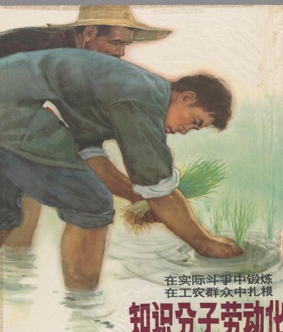 懂粉的构成基本上都是土殖，奉教主为圭臬，为了反体制故意制指鹿为马