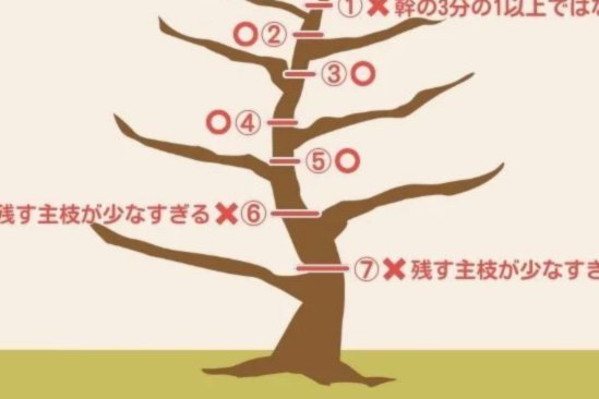 半场：国安1-0陇原竞技，张稀哲送助攻，邓捷夫建功