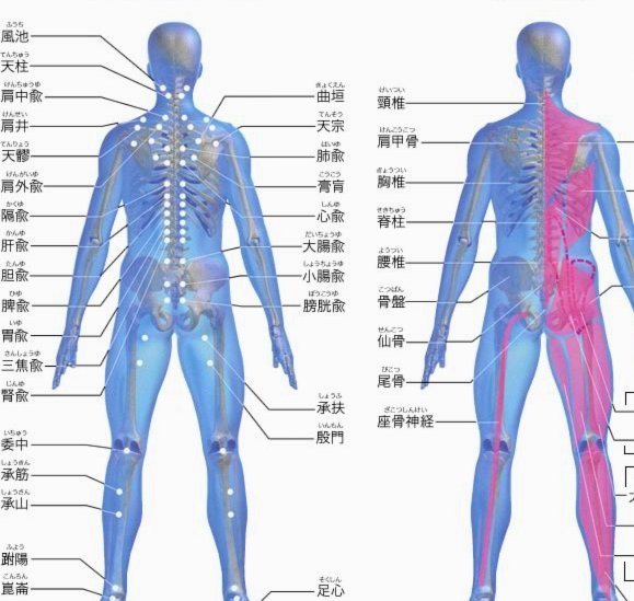 纽卡用沃尔特马德+现金求购恩梅查被拒